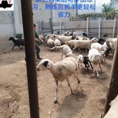 抓羊神器捕捉器捕捉用品实用动物畜牧便携式养殖羊牛羊工具